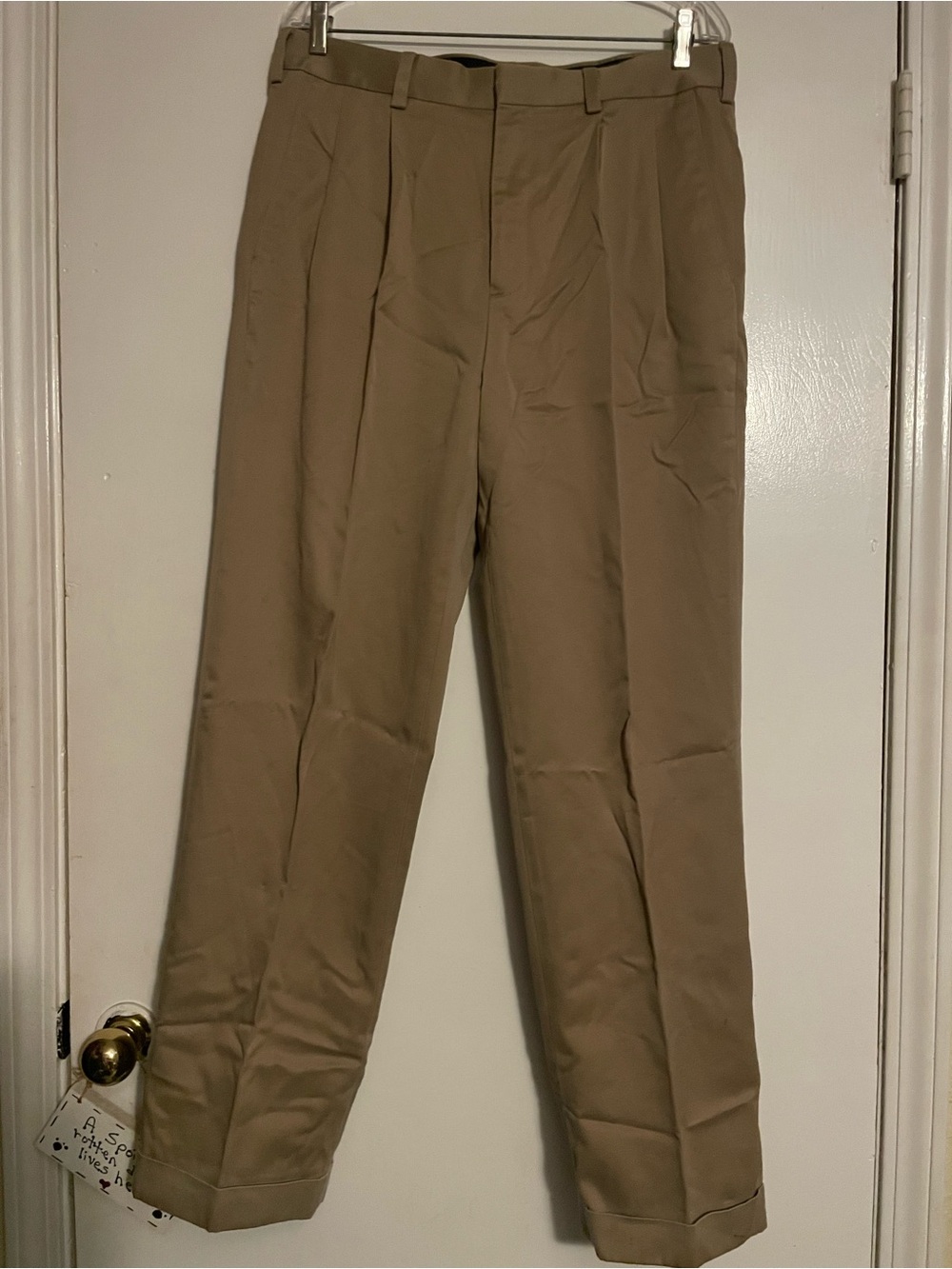 Axist Men's Pleated Chinos in Khaki